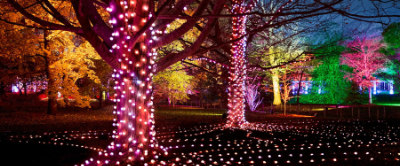 Christmas at Westonbirt