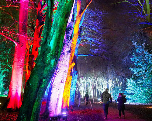 Christmas at Westonbirt - 2024